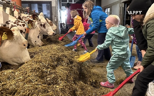 Schmetterlingskinder schaufeln Streu im Kuhstall