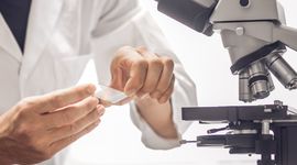 Researcher looks at sample under the microscope